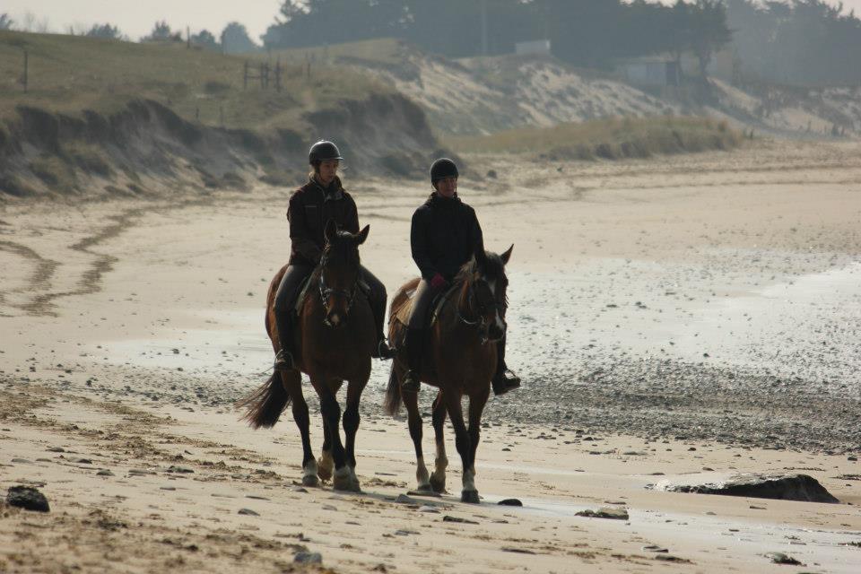 サン・ジャン・ル・トマ ア ラブリ デ ヴァン Bed & Breakfast エクステリア 写真